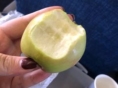 -谢列梅捷沃国际机场