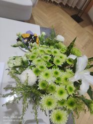 -HEYAN长风荷妍专业脱毛美肤

