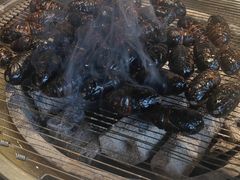 -泰白海鲜烧烤大全