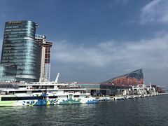 -招商蛇口邮轮母港(观光客运)