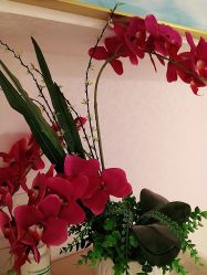 -薇兰专业脱毛连锁机构