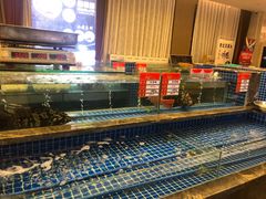水产区-骏莱海鲜鱼港(五角场店)