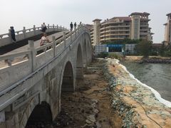 -万绿园
