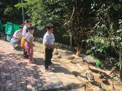 -泉州海丝野生动物世界