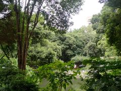 -成都市活水公园