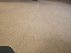 -浙江大学医学院附属邵逸夫医院(钱塘院区)