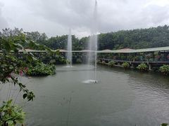 -小洲村