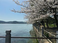 -无锡蠡湖国家湿地公园-蠡园