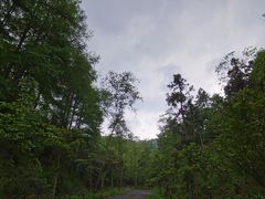 -午潮山国家森林公园