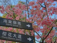 -南山植物园