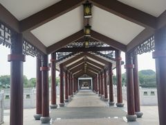 -长洲岛