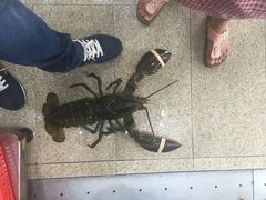 -蚝专家(北滘店)