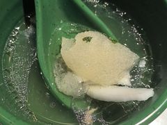 -润园四季椰子鸡火锅(海上世界店)