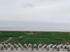 -南汇新城海滩