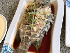 -阿清嫂农家乐.黎窑烤鸡