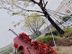 -闽江夜游台江旅游码头