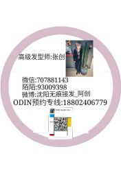 -ODIN 奥丁形象设计 