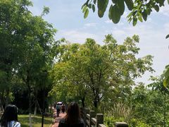 -铁山坪森林公园