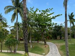 -亚龙湾喜来登·美景台大堂吧