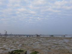 -北海金海湾红树林生态旅游区