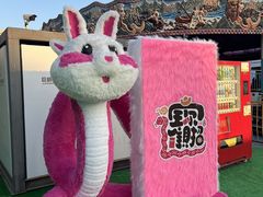 -巨鹏飞梦幻海岸
