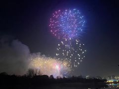 -南阳建业森林半岛假日酒店