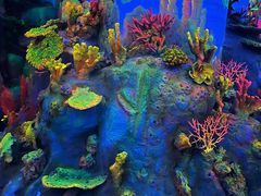 -常州海昌海洋探索馆