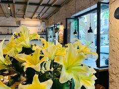-Apollo·西班牙小酒馆(安福路店)