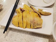 白切贵妃鸡-新发记港式茶餐厅(黄浦店)