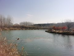 -淇河国家湿地公园