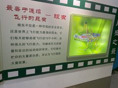 -上海昆虫博物馆