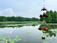 -苏州东太湖生态园