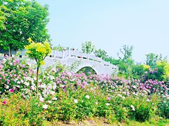 -尚贤河湿地
