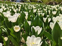 -玄武湖景区-情侣园游乐场