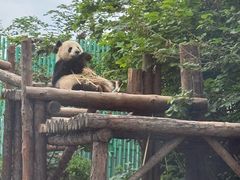 -泉城欧乐堡梦幻世界