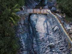 -广州白江湖森林公园