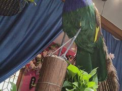 -观盐·盐帮菜(官园桥店)