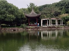 -范蠡湖公园