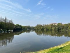 -艾溪湖湿地公园