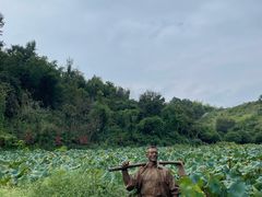 -山乡巨变第一村-周立波故居