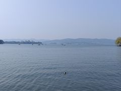-西湖外事游船(花港观鱼码头)