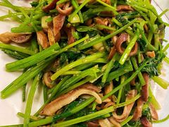 芫爆肚丝-鼎香润(德胜门内店)