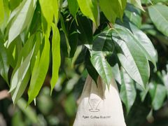 -Again Coffee Roaster(香蜜湖店)