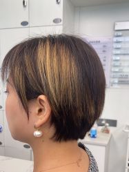 -YESIDO椰岛造型