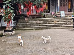 -五凤溪古镇