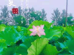 -梁鸿国家湿地公园