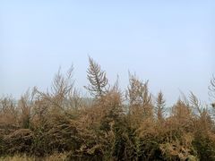 -黄河小浪底水利枢纽风景区