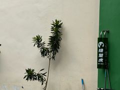 -绿壁虎攀岩基地(Tcar店)