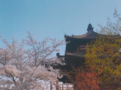 -西安青龙寺遗址景区