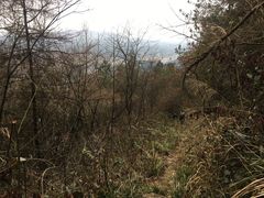 -齐岳山